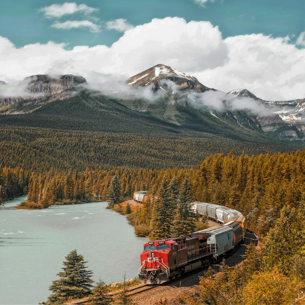 Warm-hearted Journey