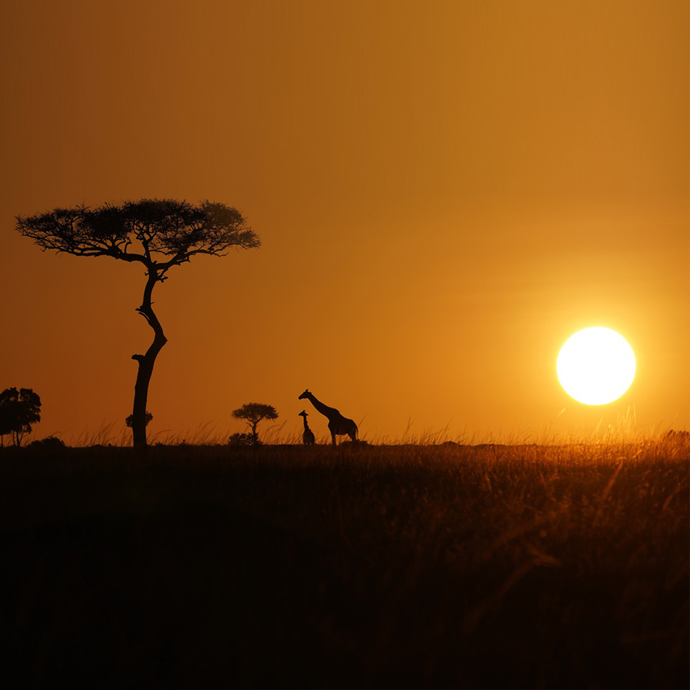 Afrika